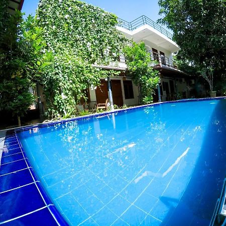 Mirissa Blue Whale Holiday Hotel Екстериор снимка